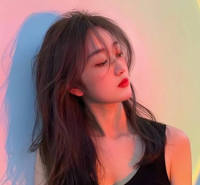 美声歌鸡