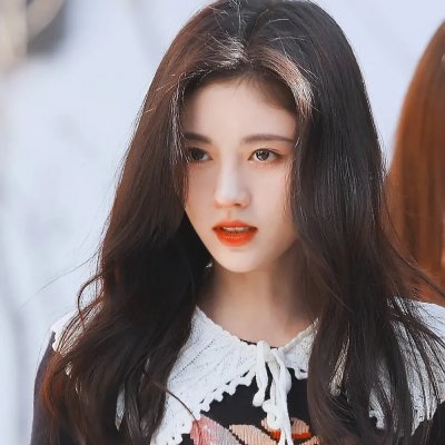 忠狗巴比传
