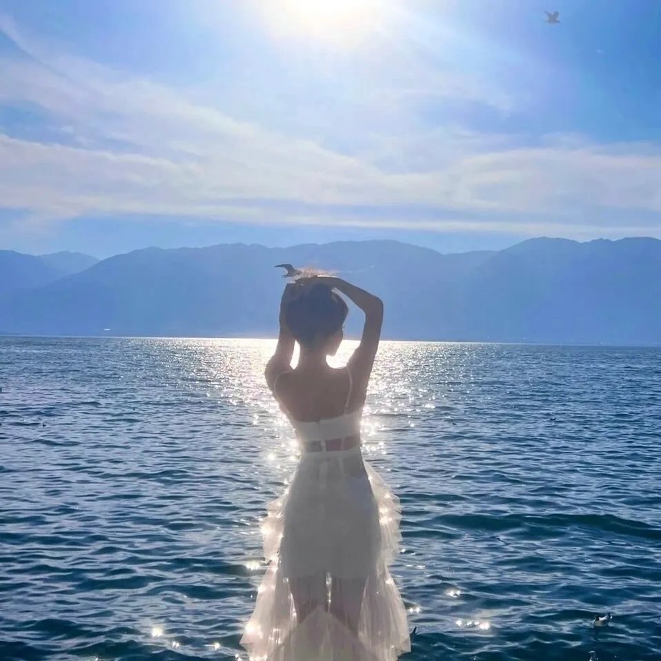 光影流情